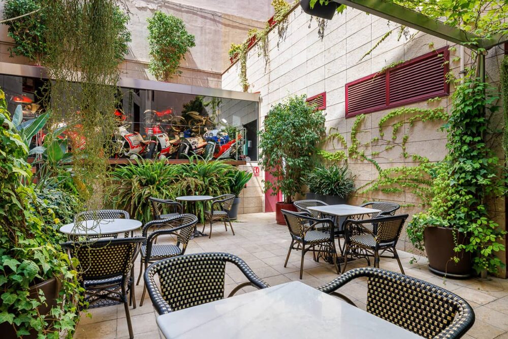 image of the green terrace