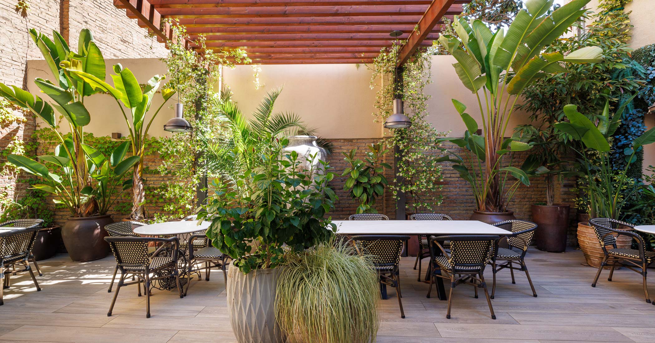 terrace bar hotel