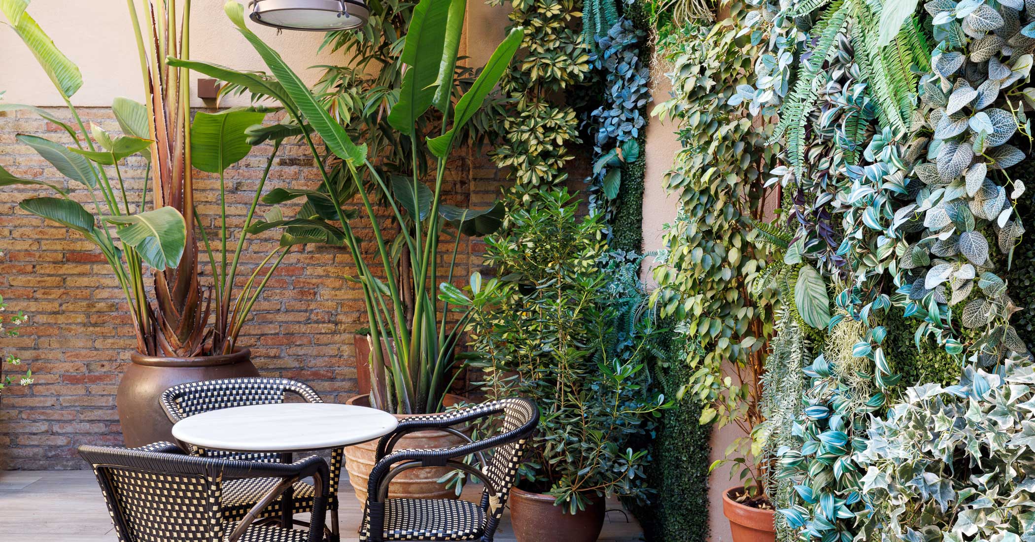 terrace bar hotel