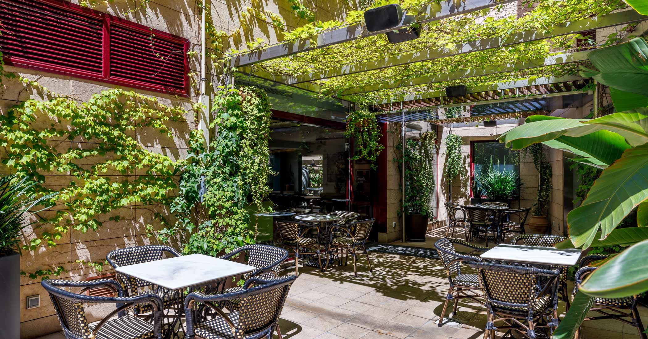 terrace bar hotel